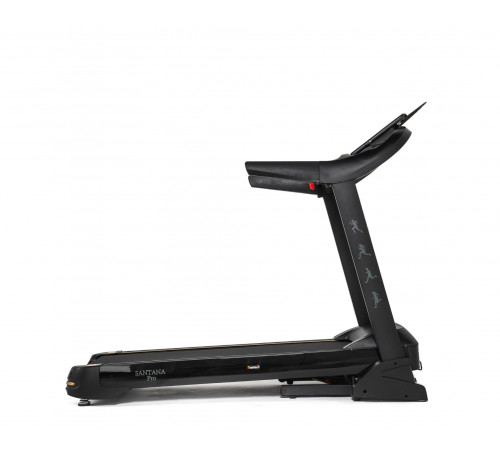 Беговая дорожка DFC SANTANA Pro T757